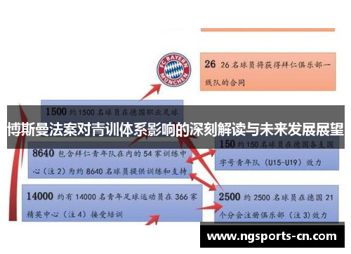 博斯曼法案对青训体系影响的深刻解读与未来发展展望